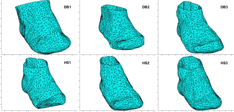 Can we finally make a working “virtual foot” model for biomechanical ...